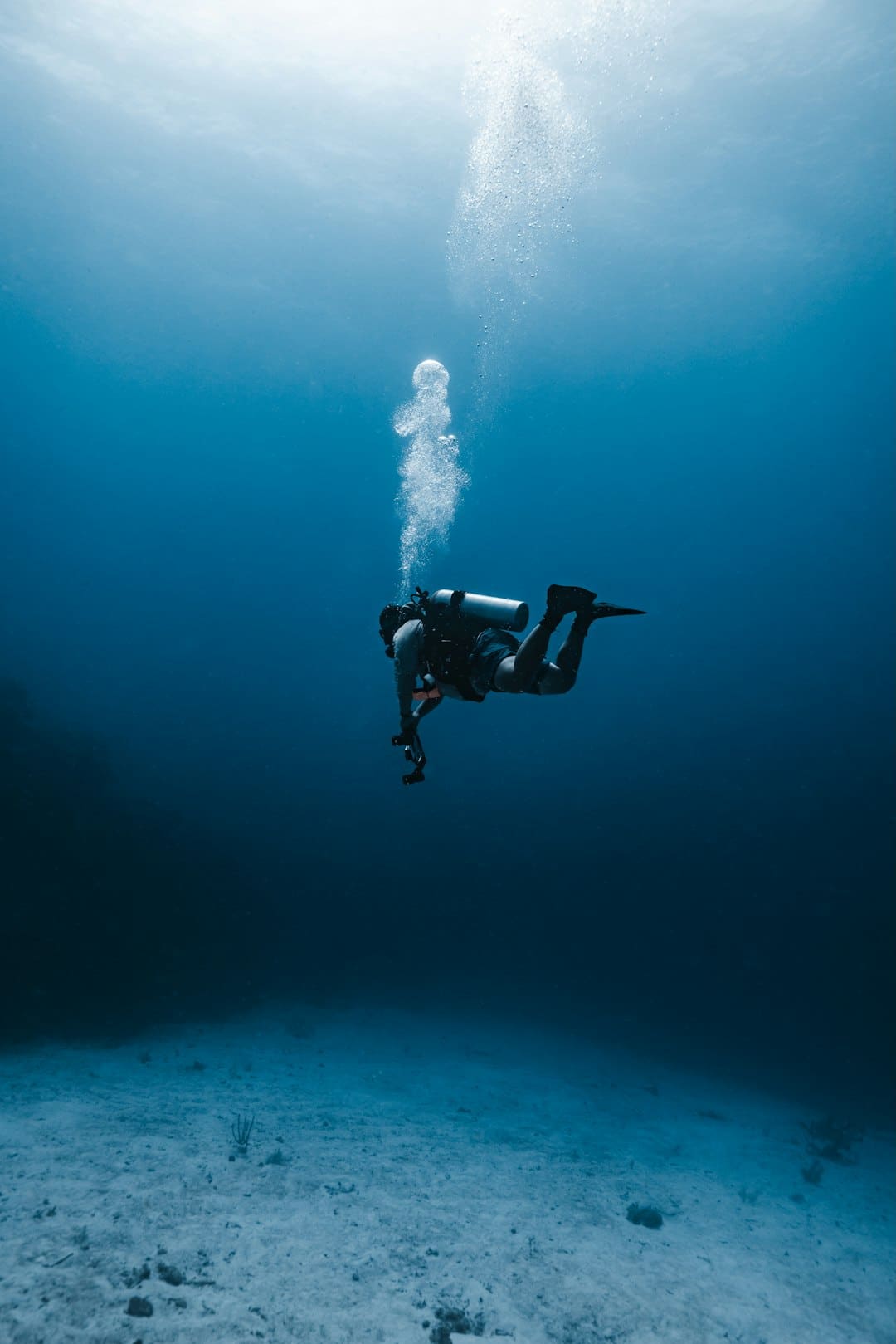 【8月5日Choice早班车】上海官宣!发力集成电路、生物医药、人工智能等工业